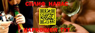 СК Бийск
