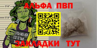 СК Бийск