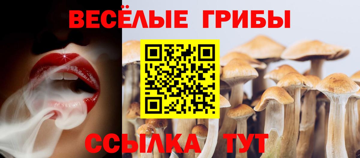 Псилоцибиновые грибы мицелий Кандалакша